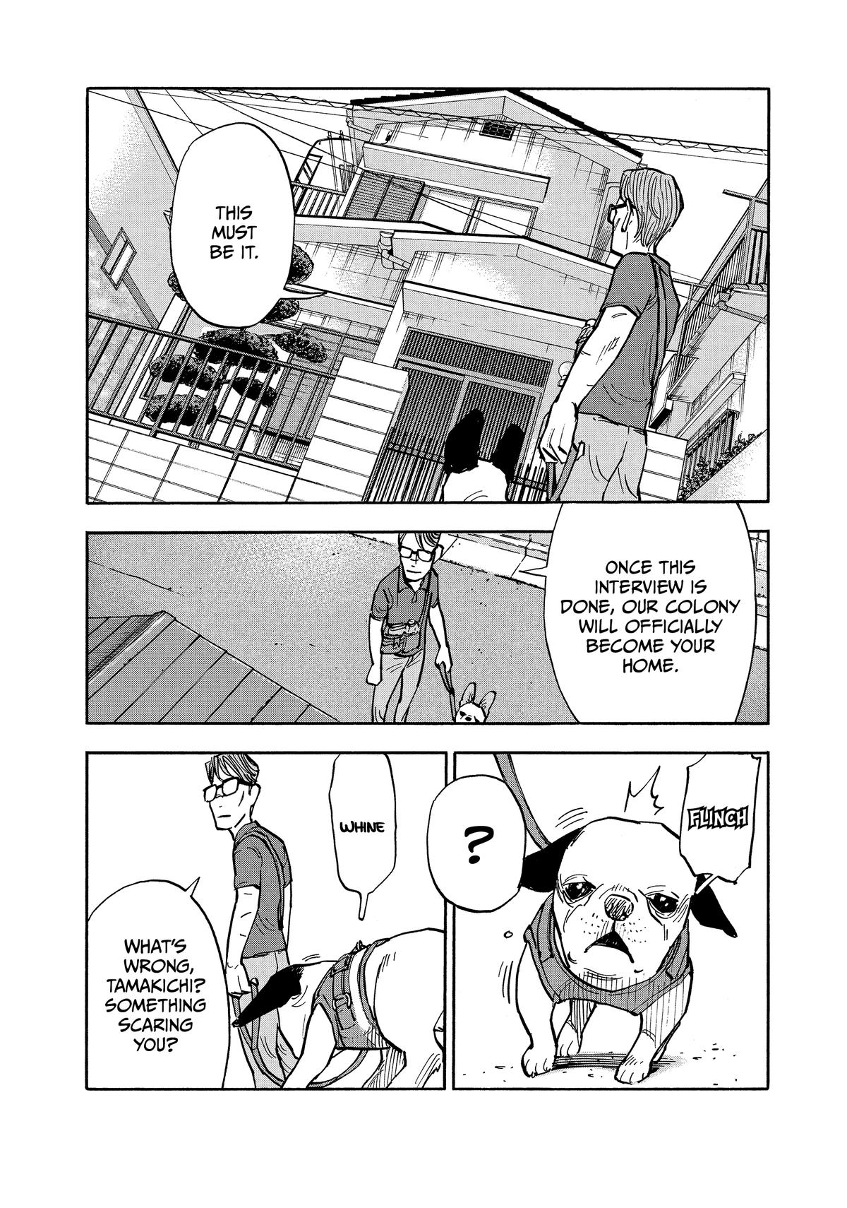 Heiwa no Kuni no Shimazaki e Chap 16 - Next Chap 17
