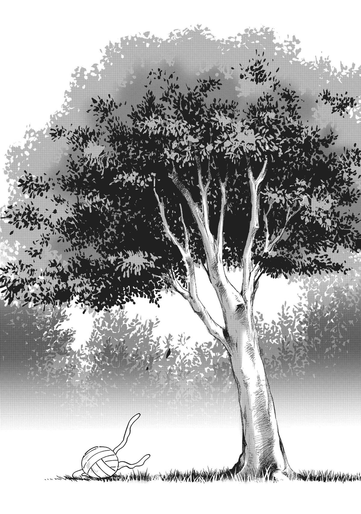 My Deer Friend Nokotan Chap 25 - Next Chap 26