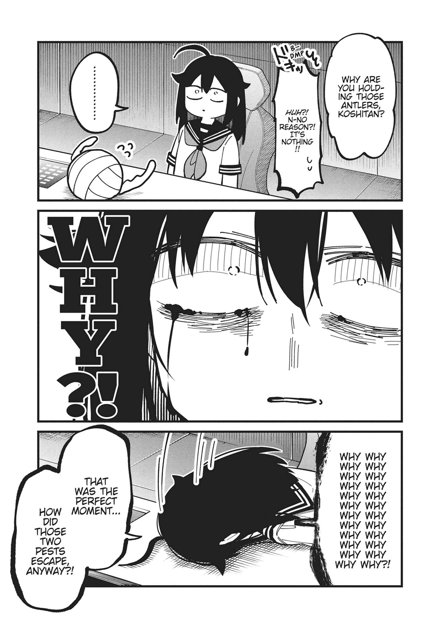 My Deer Friend Nokotan Chap 43 - Next Chap 44