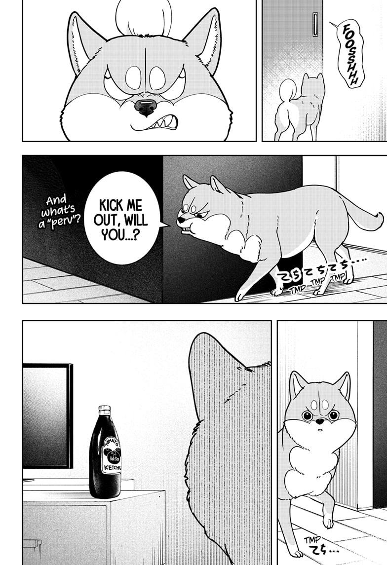 Shiba Inu Rooms Chap 7 - Next Chap 8