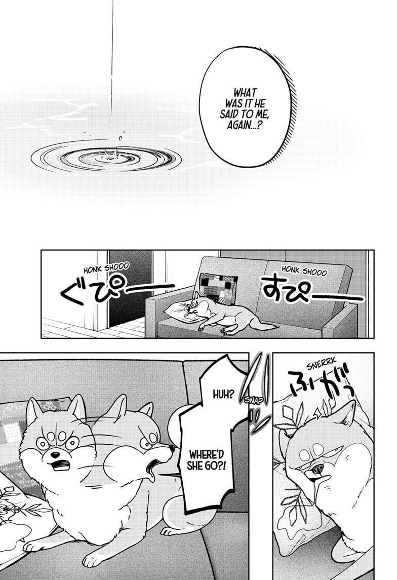 Shiba Inu Rooms Chap 7 - Next Chap 8