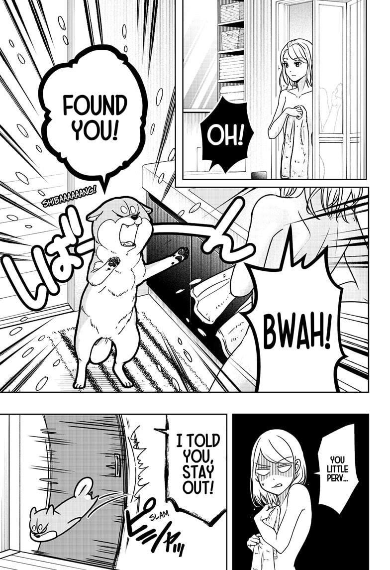 Shiba Inu Rooms Chap 7 - Next Chap 8