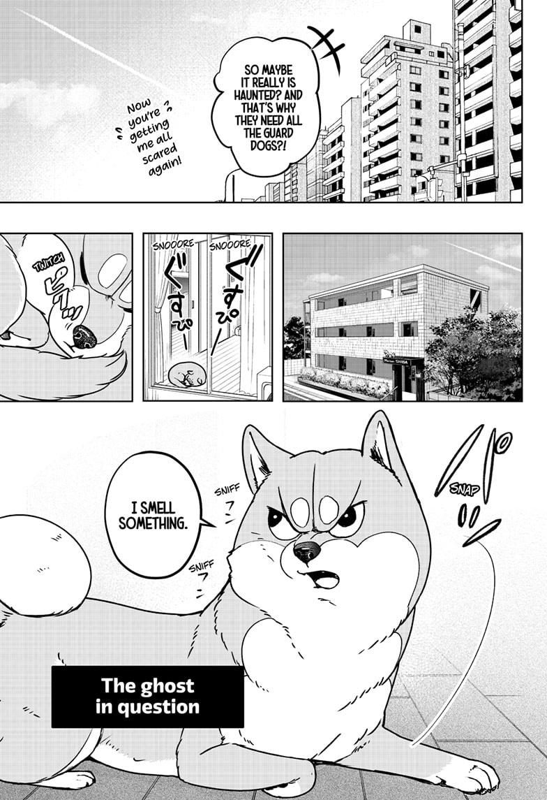 Shiba Inu Rooms Chap 7 - Next Chap 8