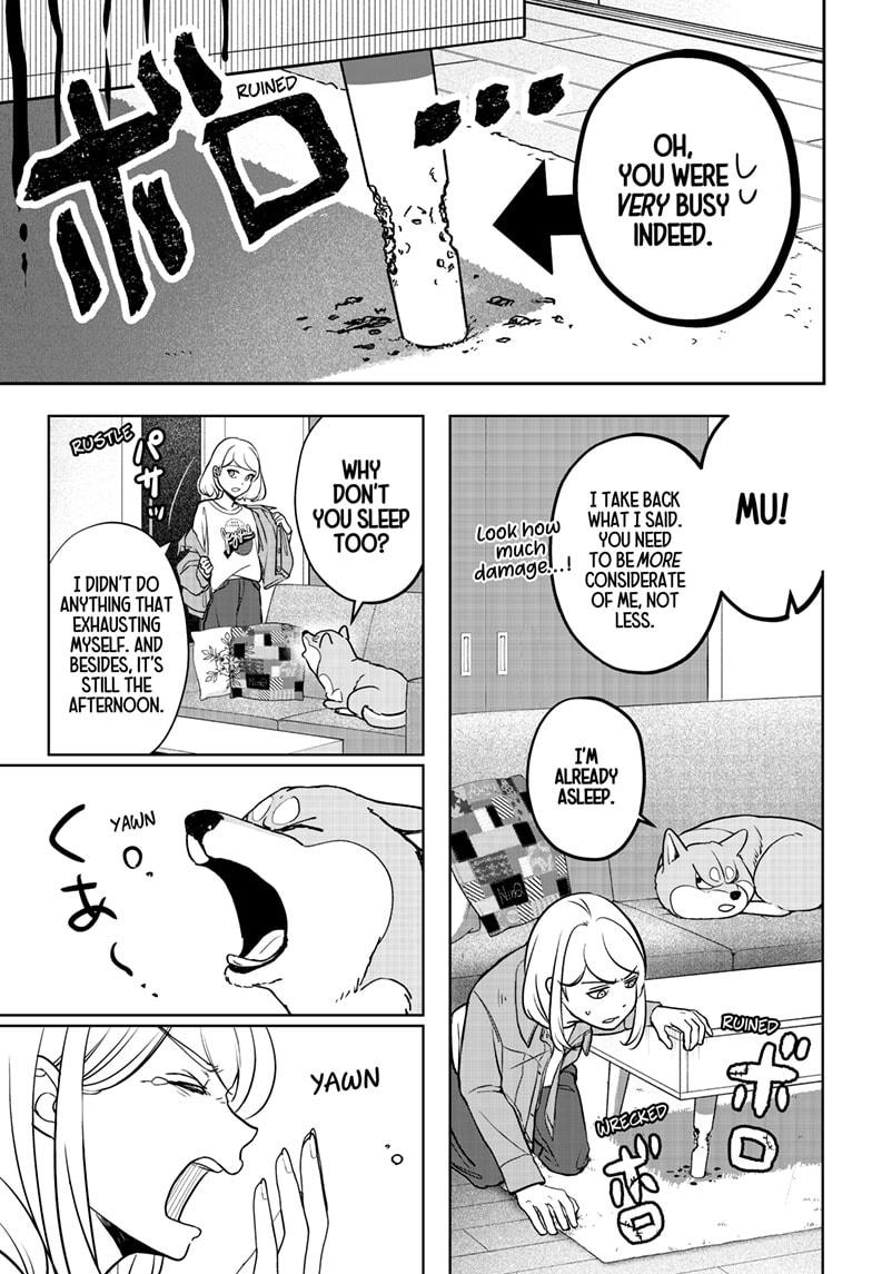 Shiba Inu Rooms Chap 4 - Next Chap 5