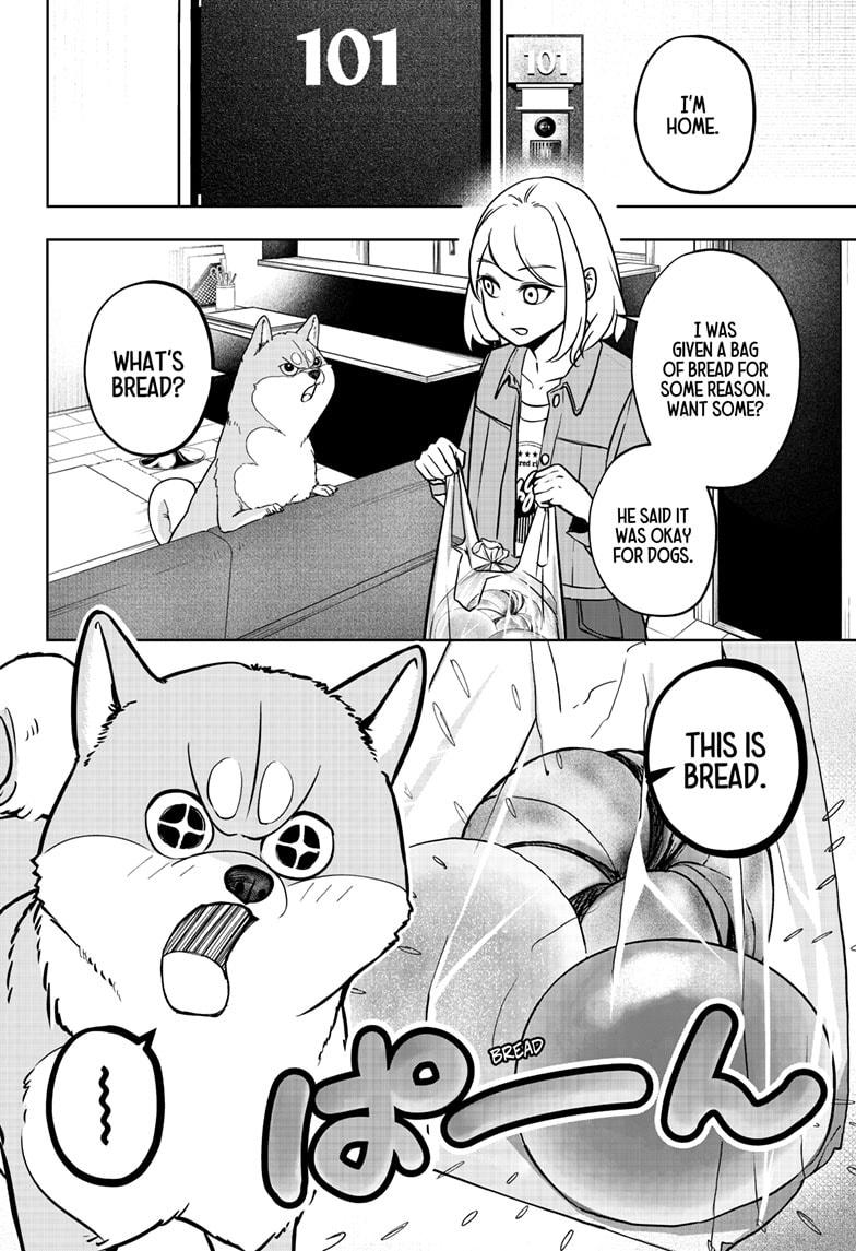 Shiba Inu Rooms Chap 4 - Next Chap 5