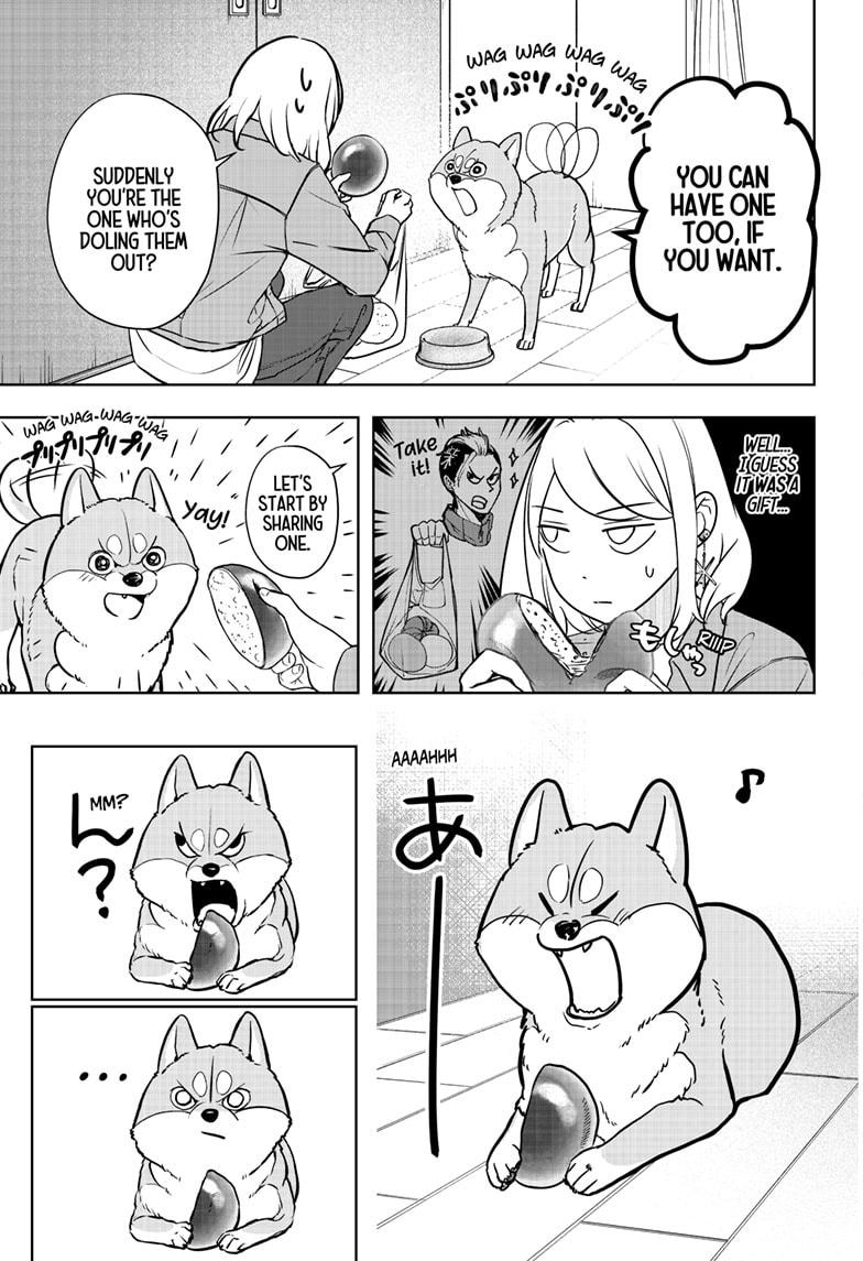 Shiba Inu Rooms Chap 4 - Next Chap 5