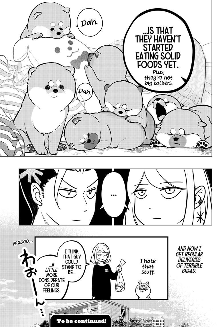 Shiba Inu Rooms Chap 4 - Next Chap 5
