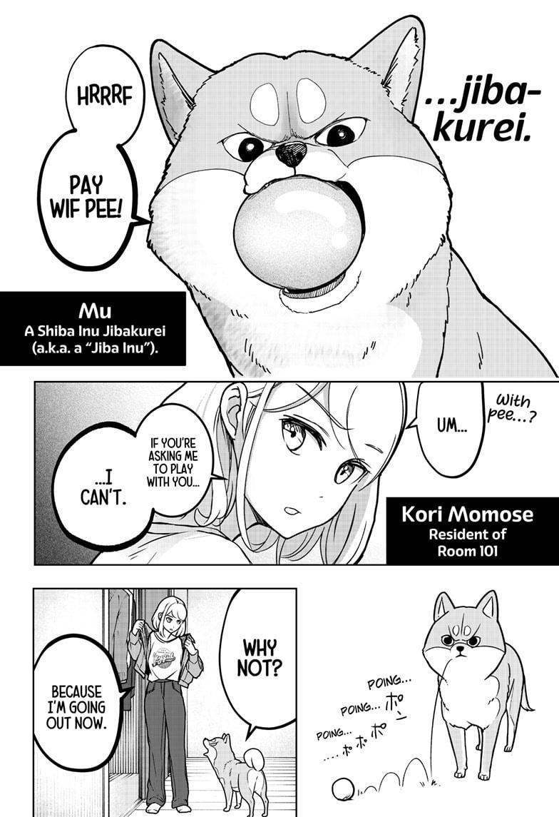 Shiba Inu Rooms Chap 4 - Next Chap 5