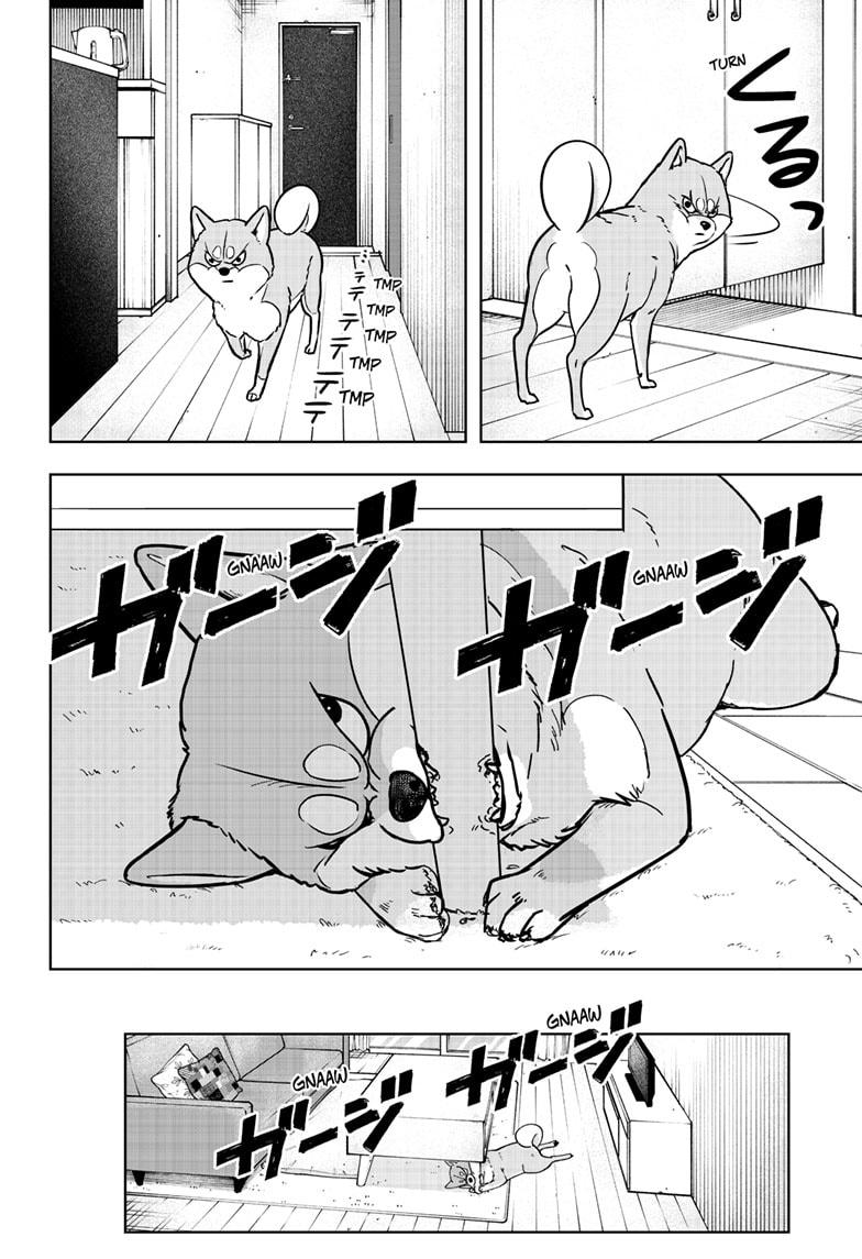 Shiba Inu Rooms Chap 4 - Next Chap 5