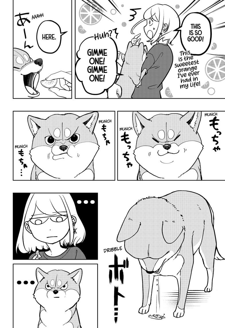 Shiba Inu Rooms Chap 5 - Next Chap 6