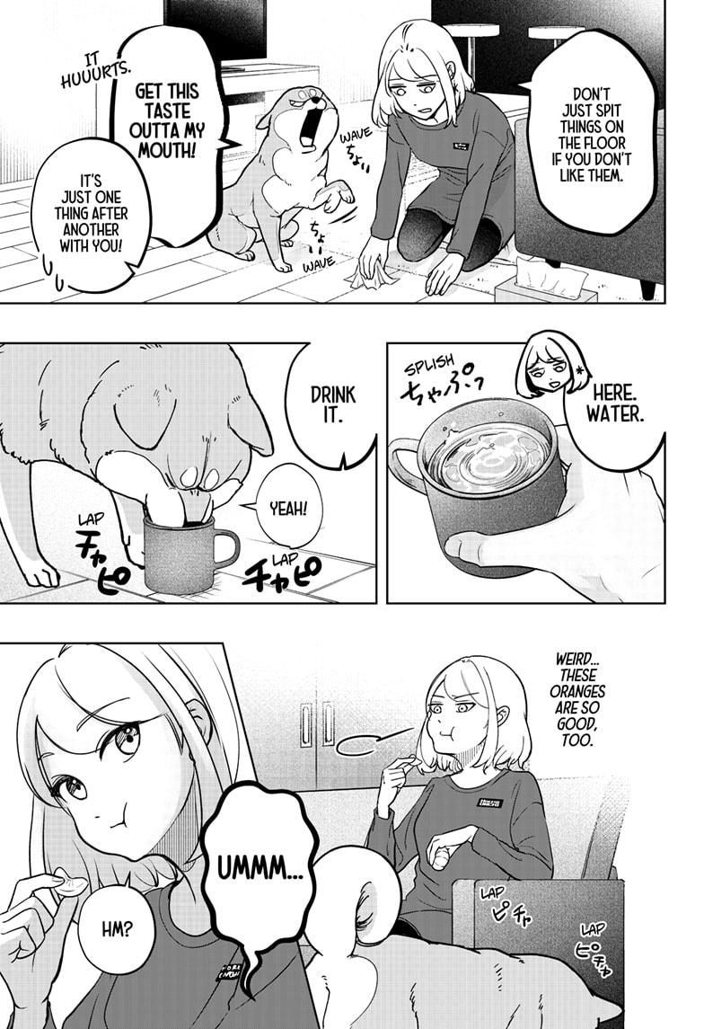 Shiba Inu Rooms Chap 5 - Next Chap 6