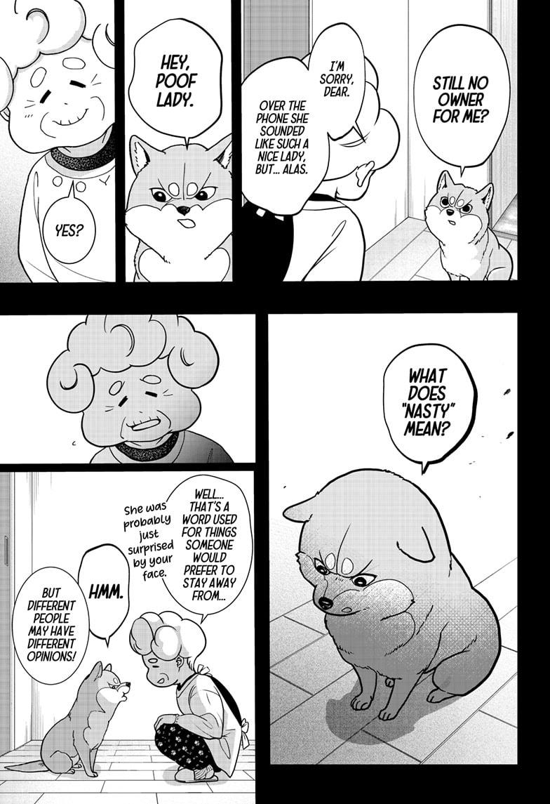 Shiba Inu Rooms Chap 5 - Next Chap 6