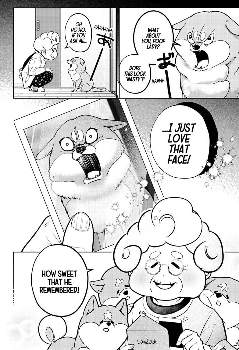 Shiba Inu Rooms Chap 5 - Next Chap 6