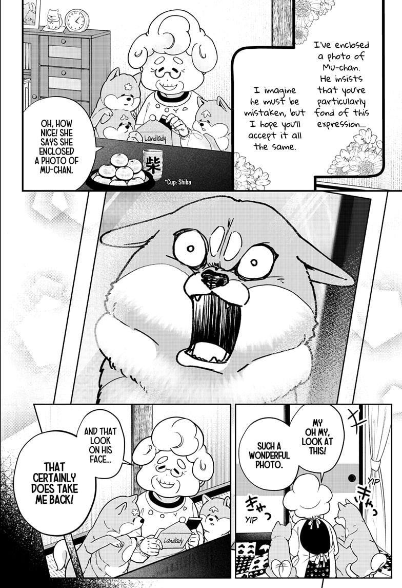 Shiba Inu Rooms Chap 5 - Next Chap 6