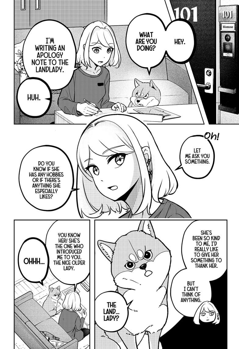 Shiba Inu Rooms Chap 5 - Next Chap 6