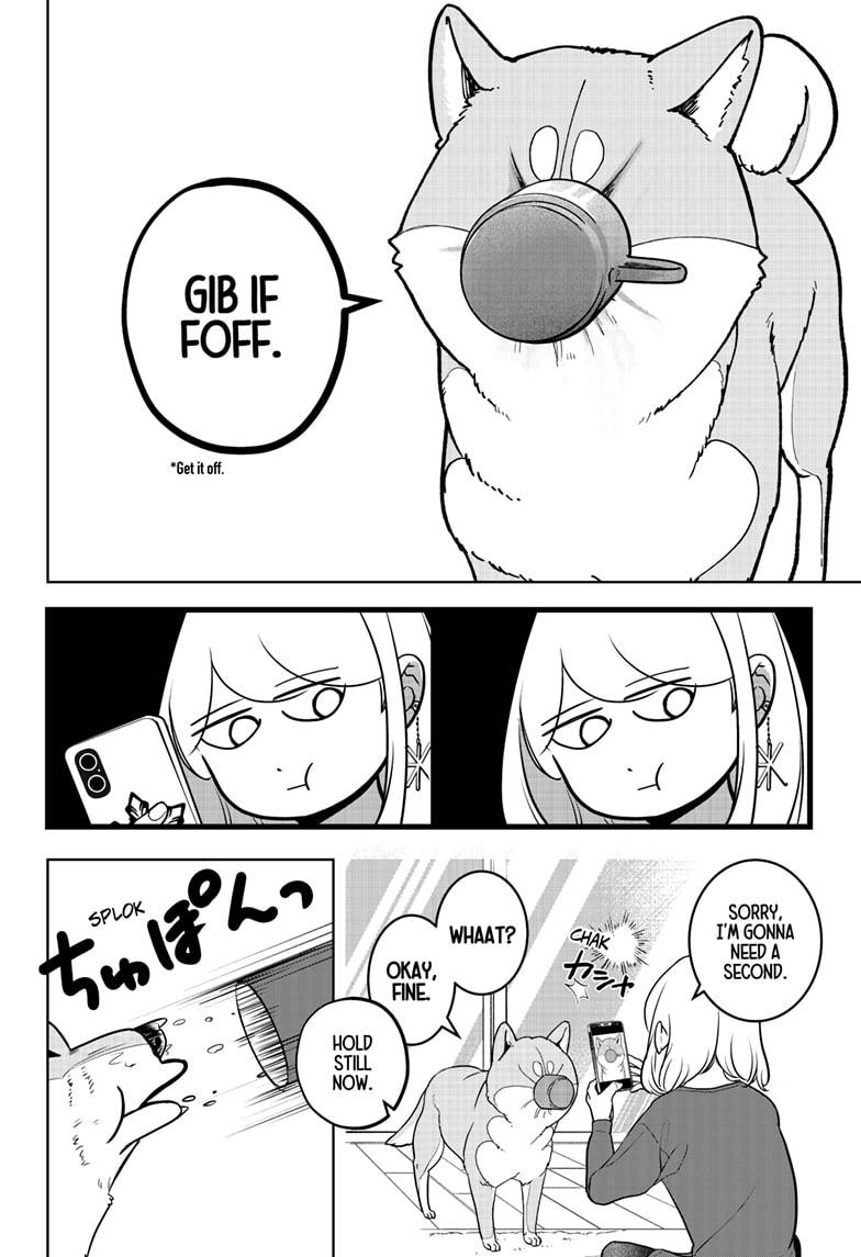 Shiba Inu Rooms Chap 5 - Next Chap 6