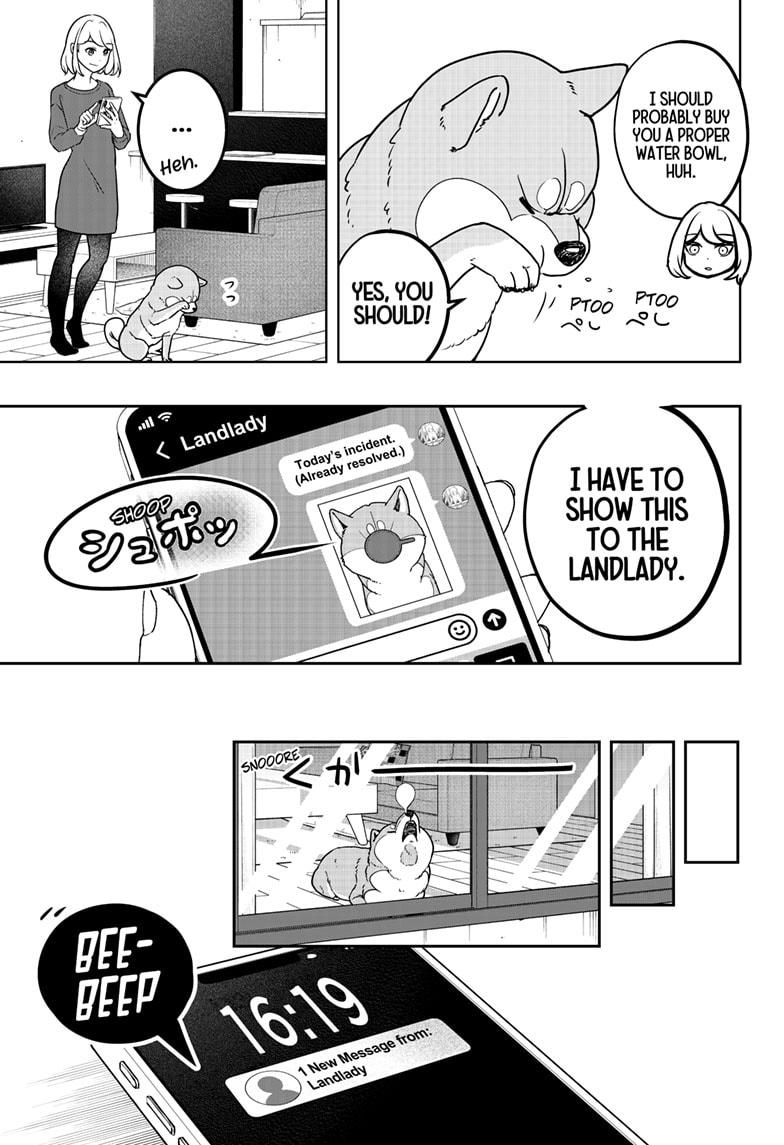 Shiba Inu Rooms Chap 5 - Next Chap 6