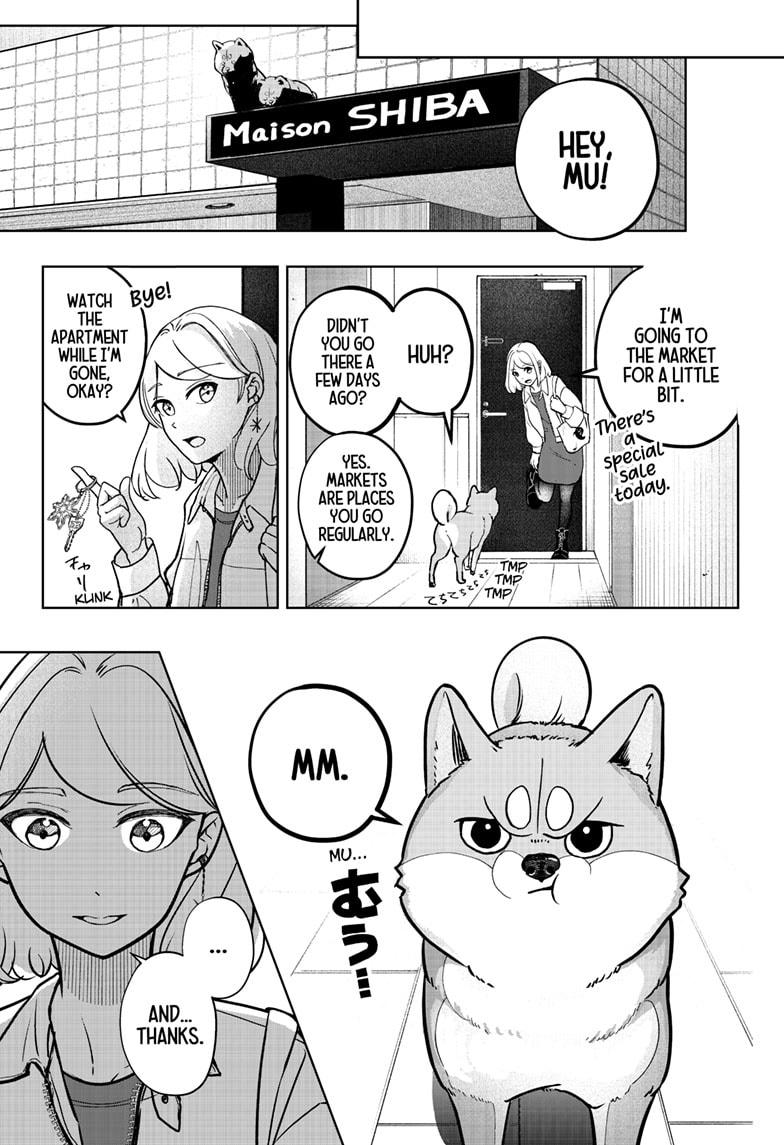 Shiba Inu Rooms Chap 5 - Next Chap 6