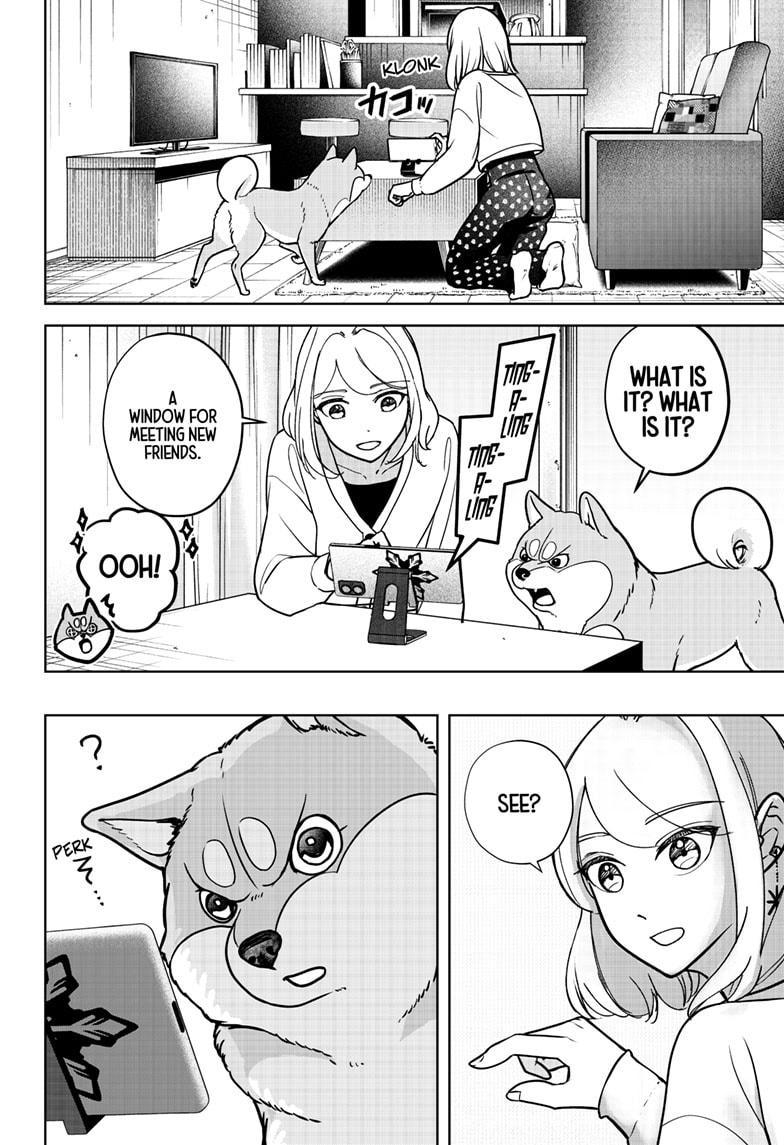 Shiba Inu Rooms Chap 6 - Next Chap 7