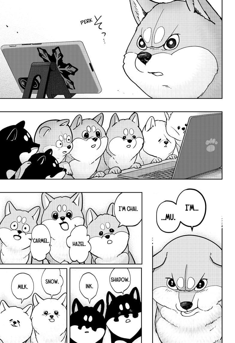 Shiba Inu Rooms Chap 6 - Next Chap 7