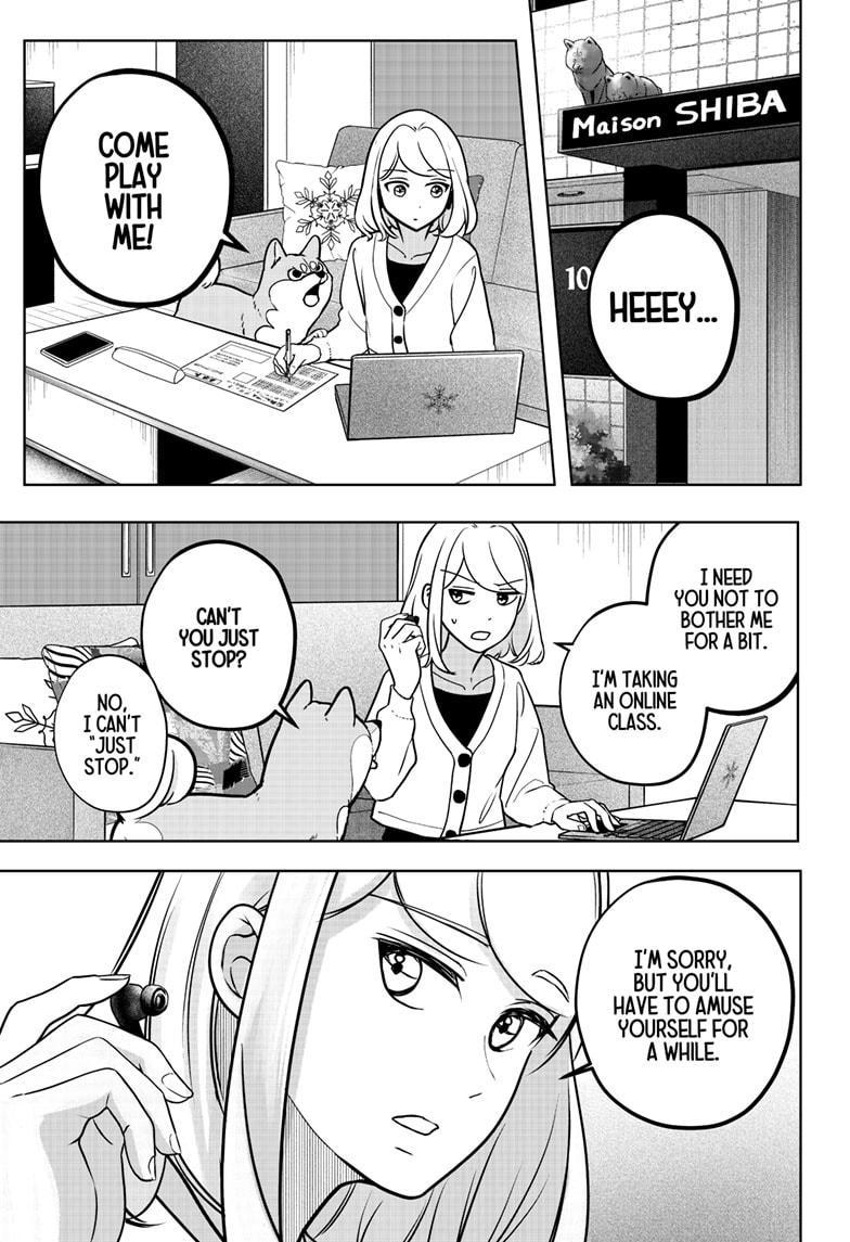 Shiba Inu Rooms Chap 6 - Next Chap 7