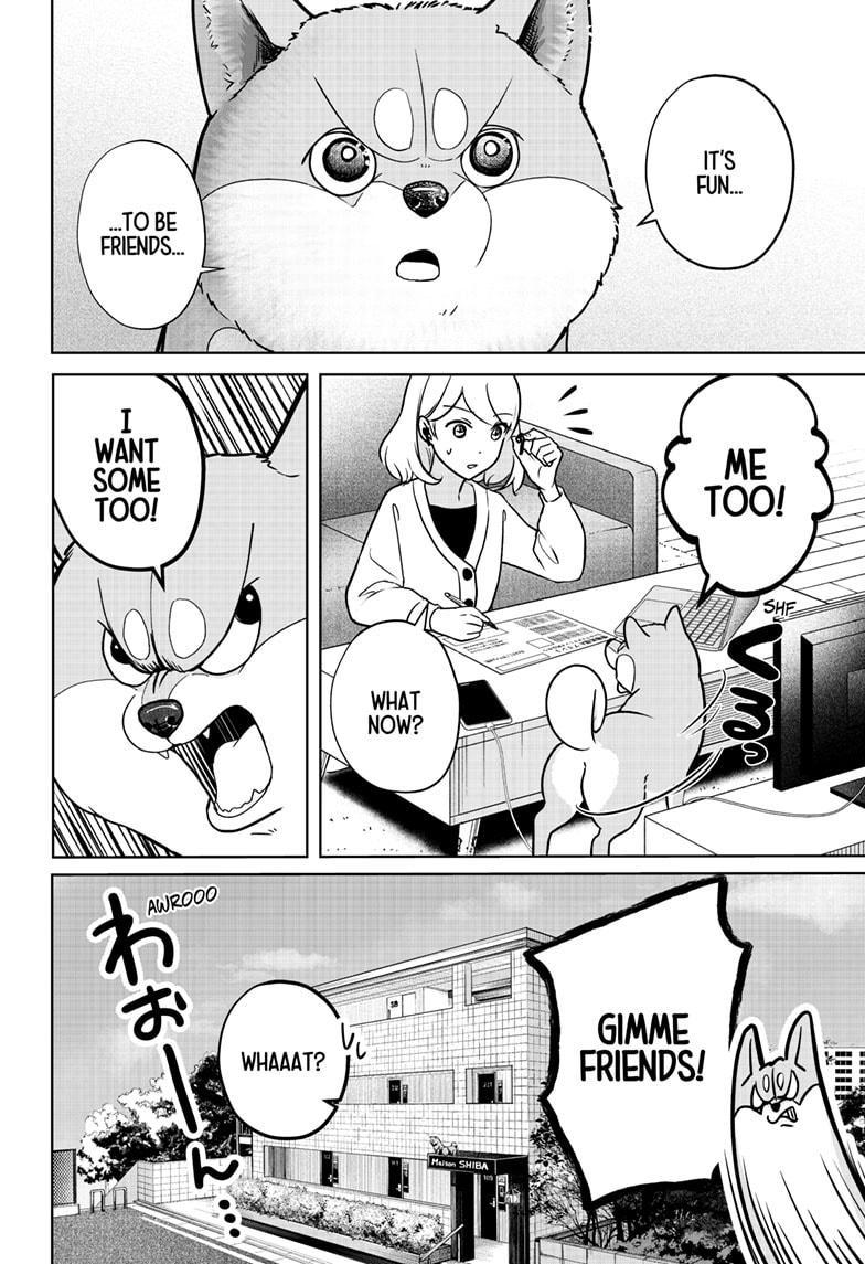 Shiba Inu Rooms Chap 6 - Next Chap 7