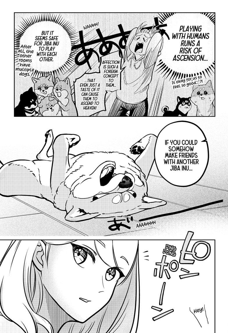 Shiba Inu Rooms Chap 6 - Next Chap 7
