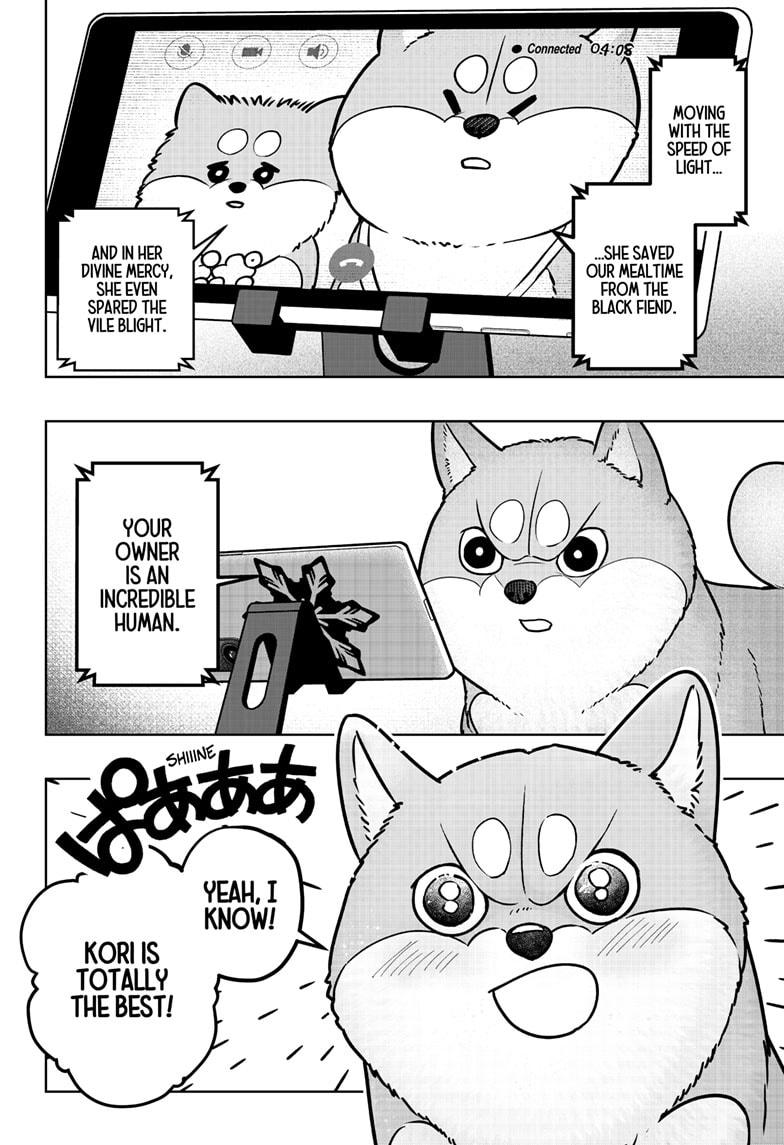 Shiba Inu Rooms Chap 8 - Next Chap 9