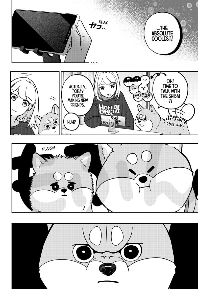 Shiba Inu Rooms Chap 8 - Next Chap 9