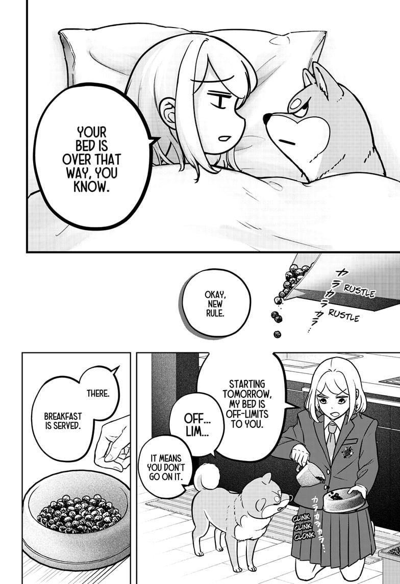 Shiba Inu Rooms Chap 9 - Next Chap 10