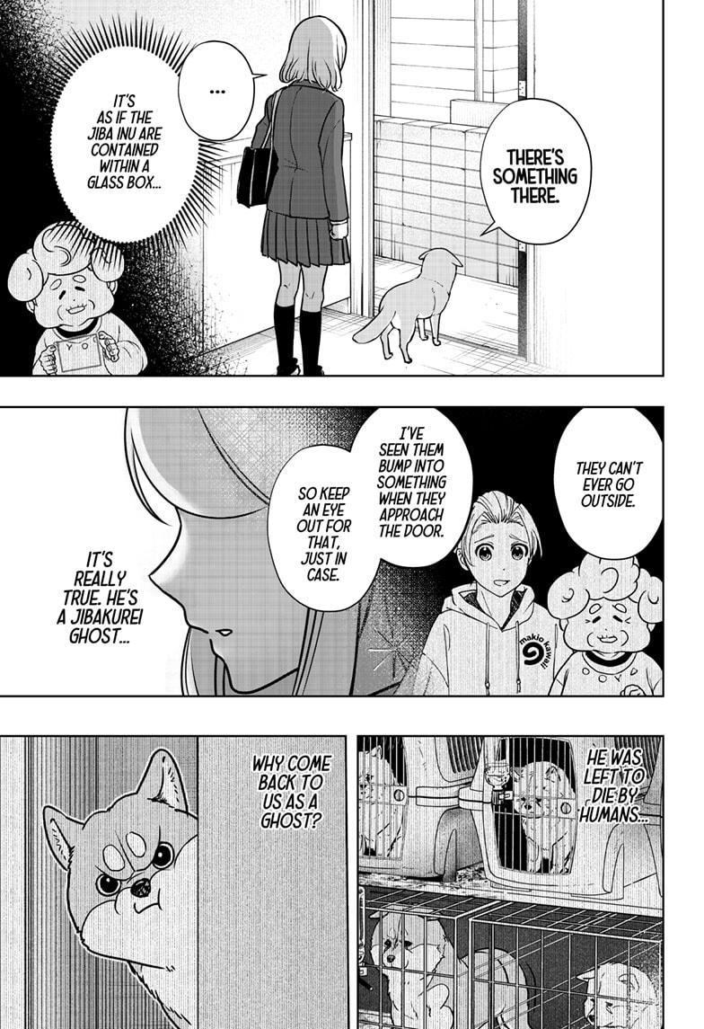 Shiba Inu Rooms Chap 9 - Next Chap 10