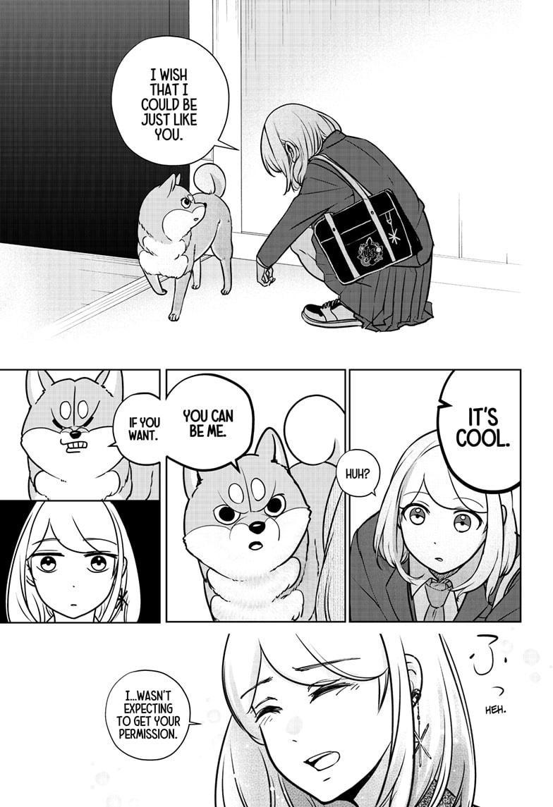 Shiba Inu Rooms Chap 9 - Next Chap 10