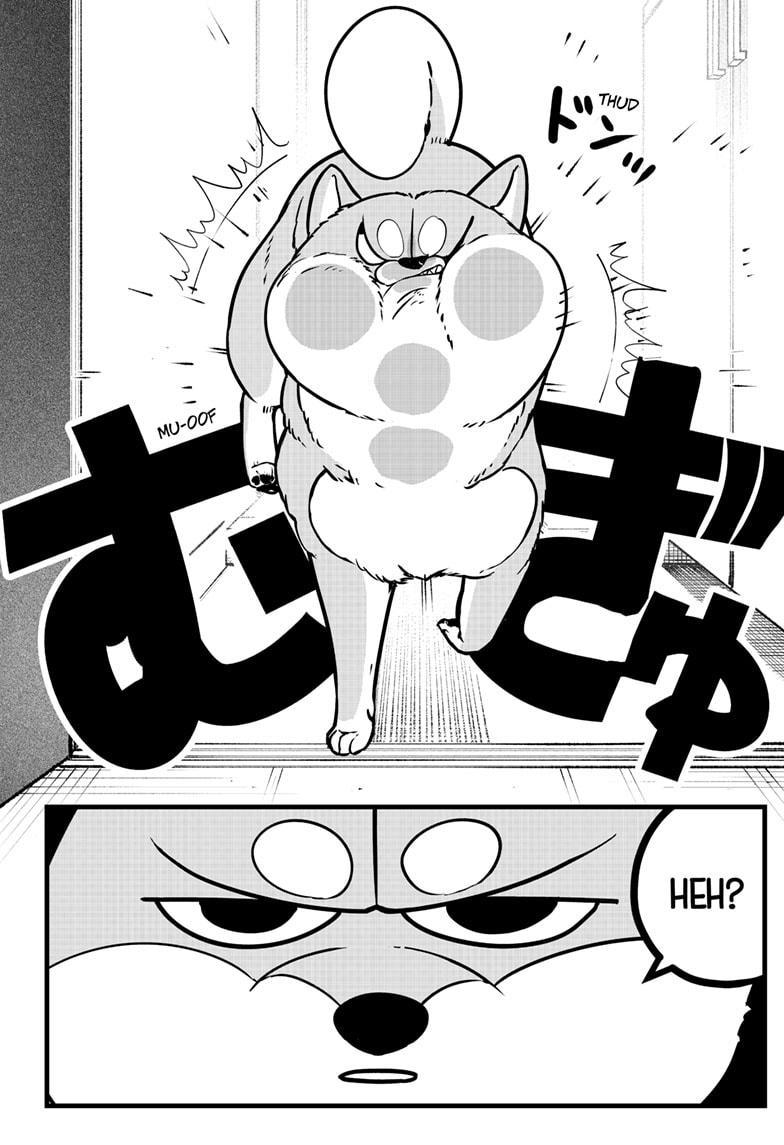 Shiba Inu Rooms Chap 9 - Next Chap 10