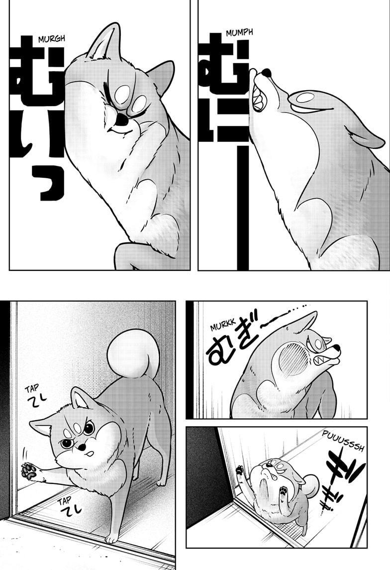 Shiba Inu Rooms Chap 9 - Next Chap 10