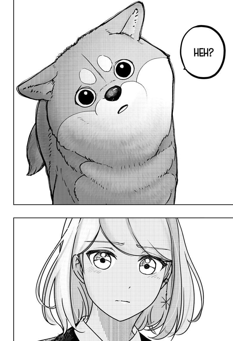 Shiba Inu Rooms Chap 9 - Next Chap 10