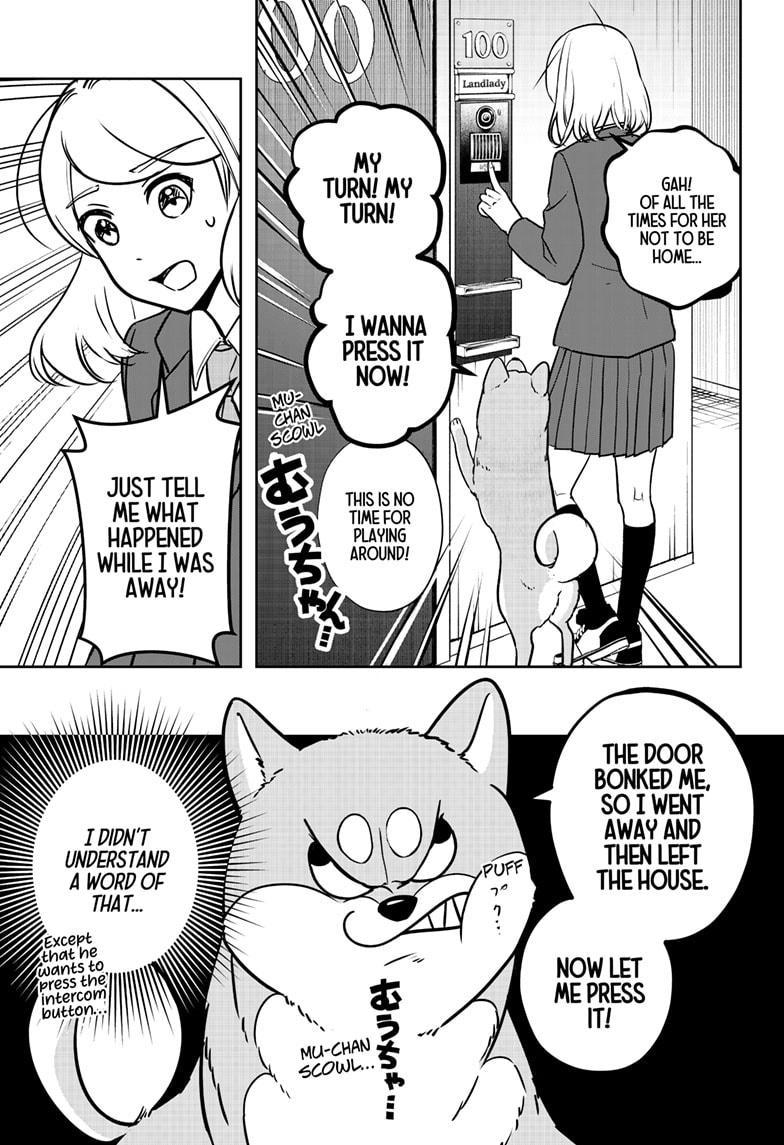 Shiba Inu Rooms Chap 9 - Next Chap 10