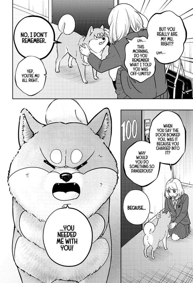Shiba Inu Rooms Chap 9 - Next Chap 10