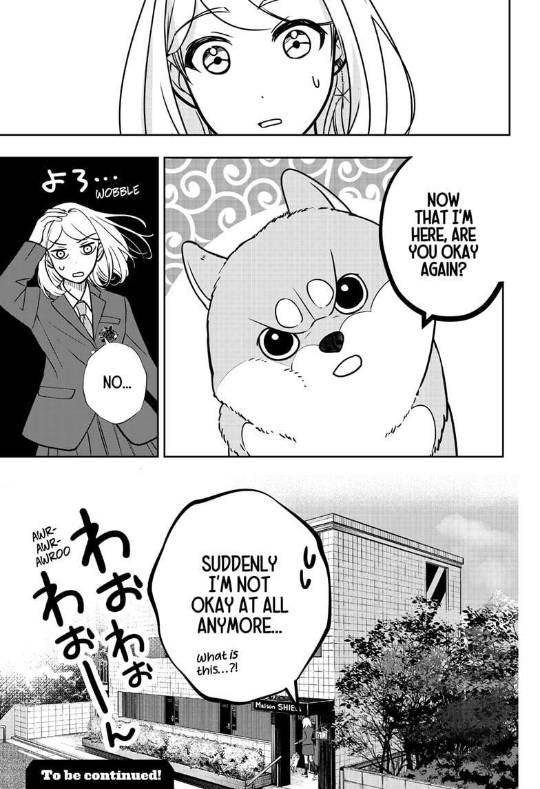 Shiba Inu Rooms Chap 9 - Next Chap 10