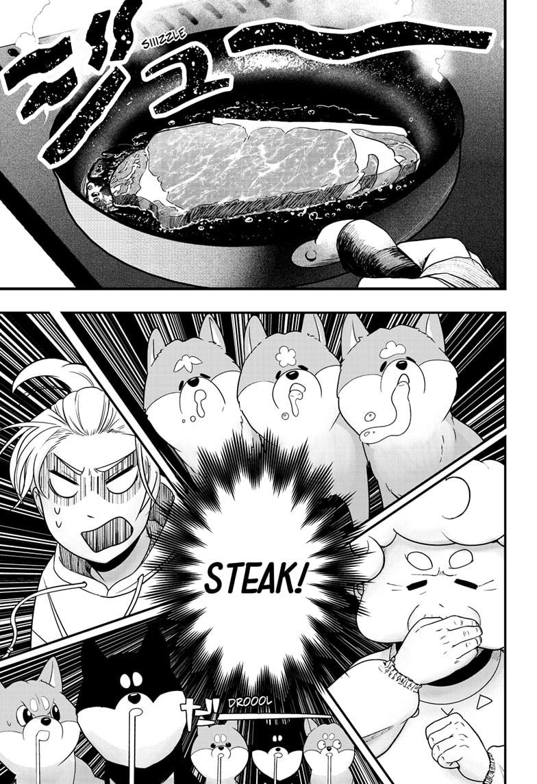 Shiba Inu Rooms Chap 1 - Next Chap 2