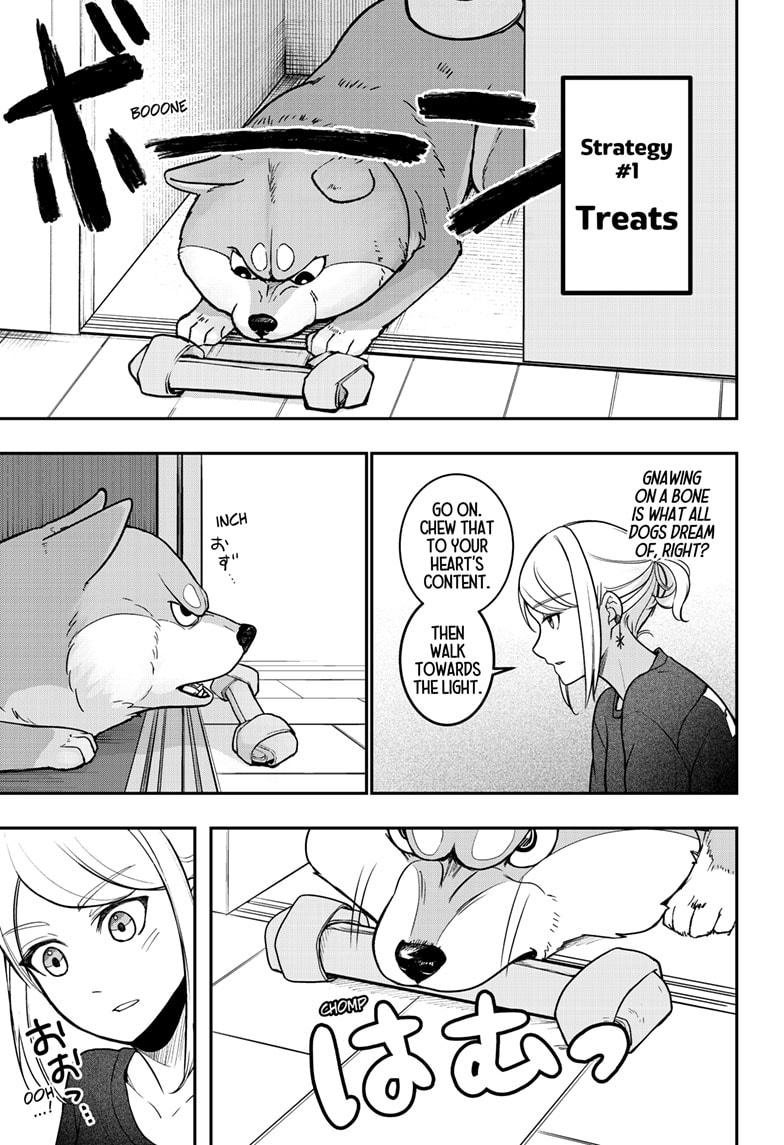 Shiba Inu Rooms Chap 1 - Next Chap 2