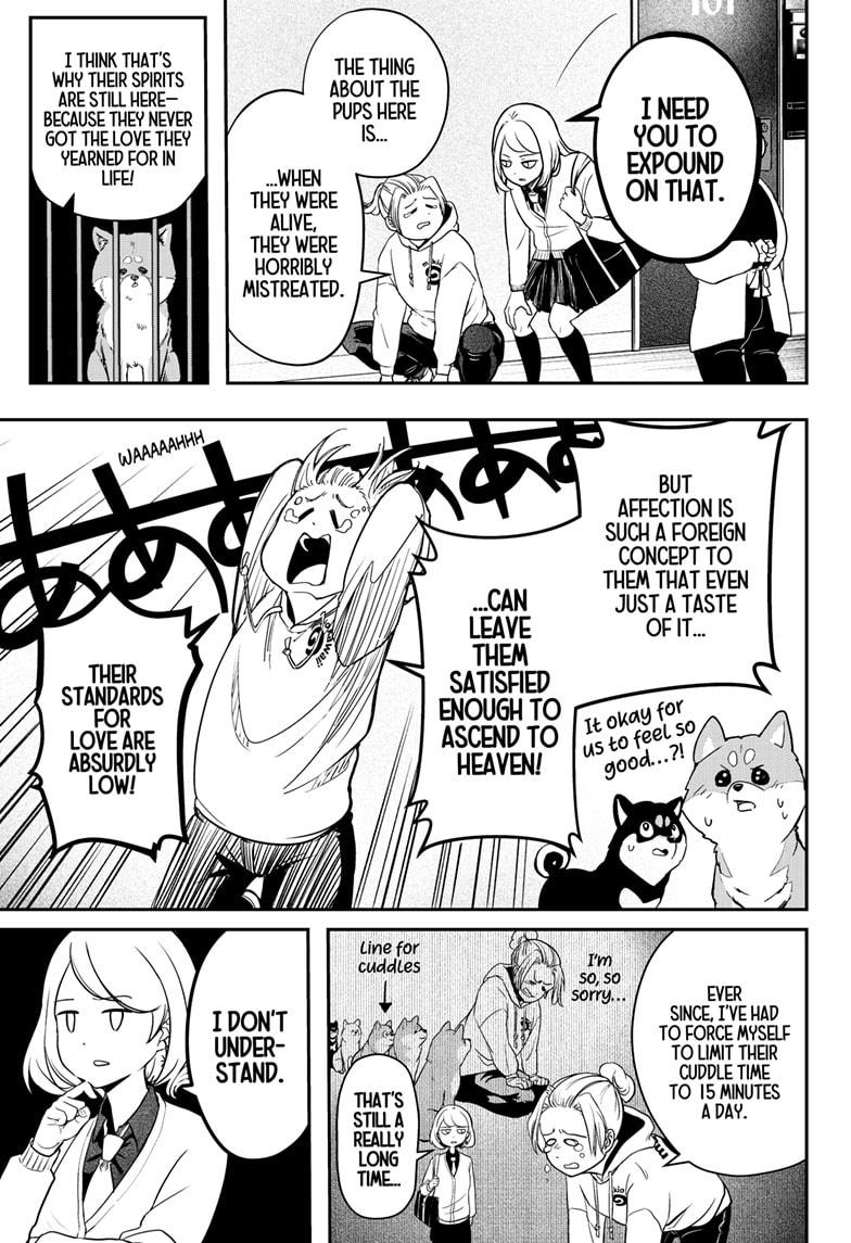 Shiba Inu Rooms Chap 1 - Next Chap 2