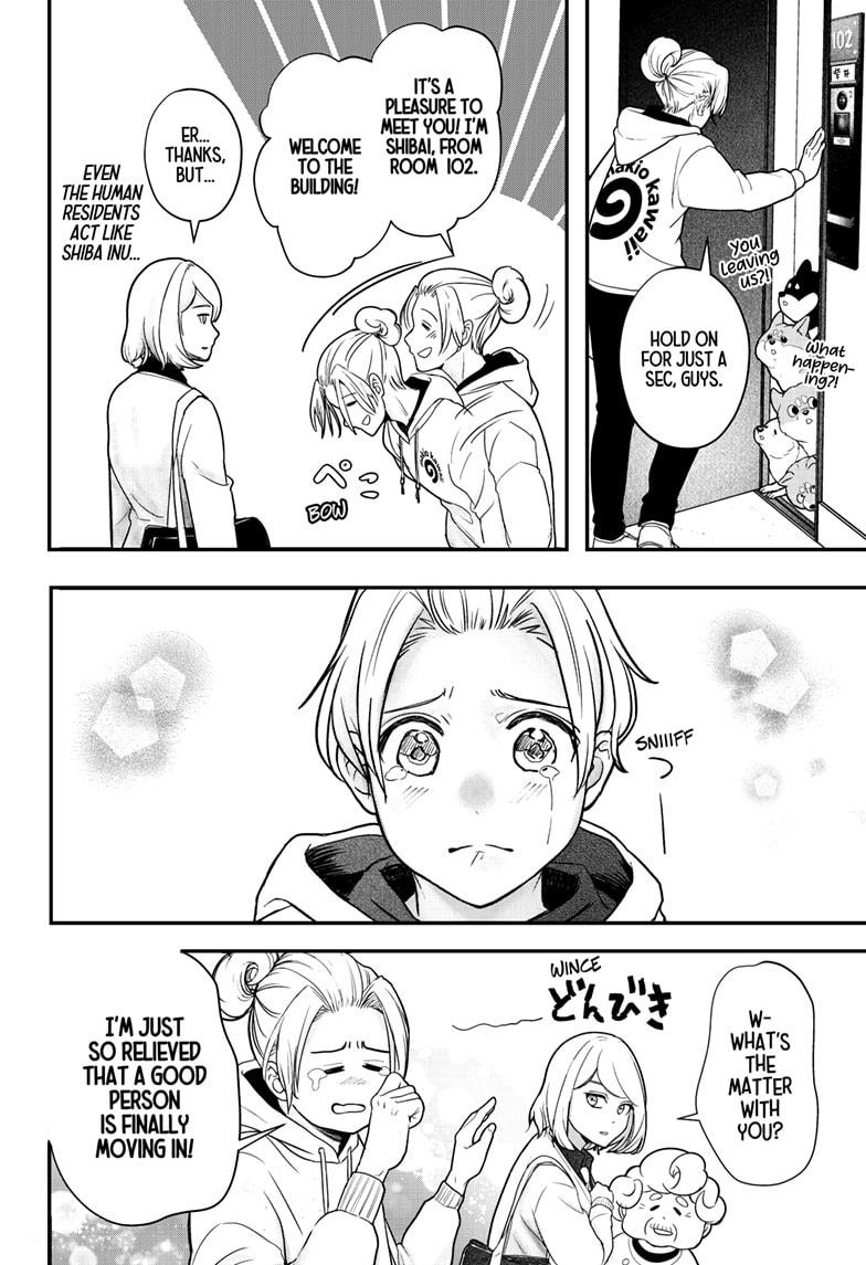 Shiba Inu Rooms Chap 1 - Next Chap 2