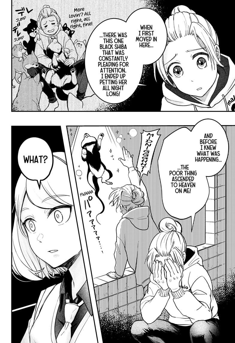 Shiba Inu Rooms Chap 1 - Next Chap 2