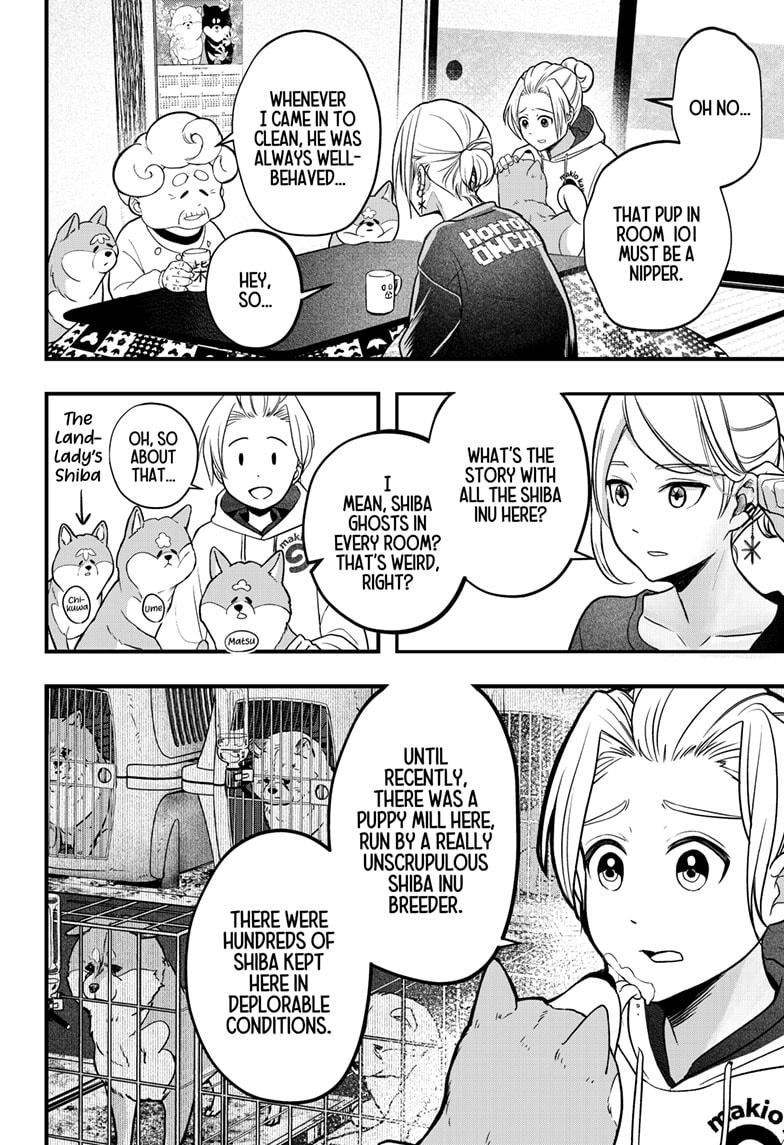 Shiba Inu Rooms Chap 1 - Next Chap 2