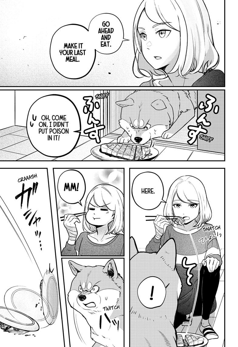 Shiba Inu Rooms Chap 1 - Next Chap 2