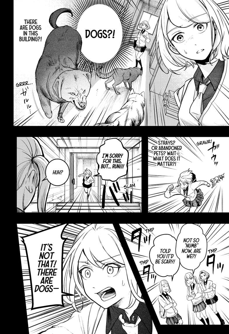 Shiba Inu Rooms Chap 1 - Next Chap 2