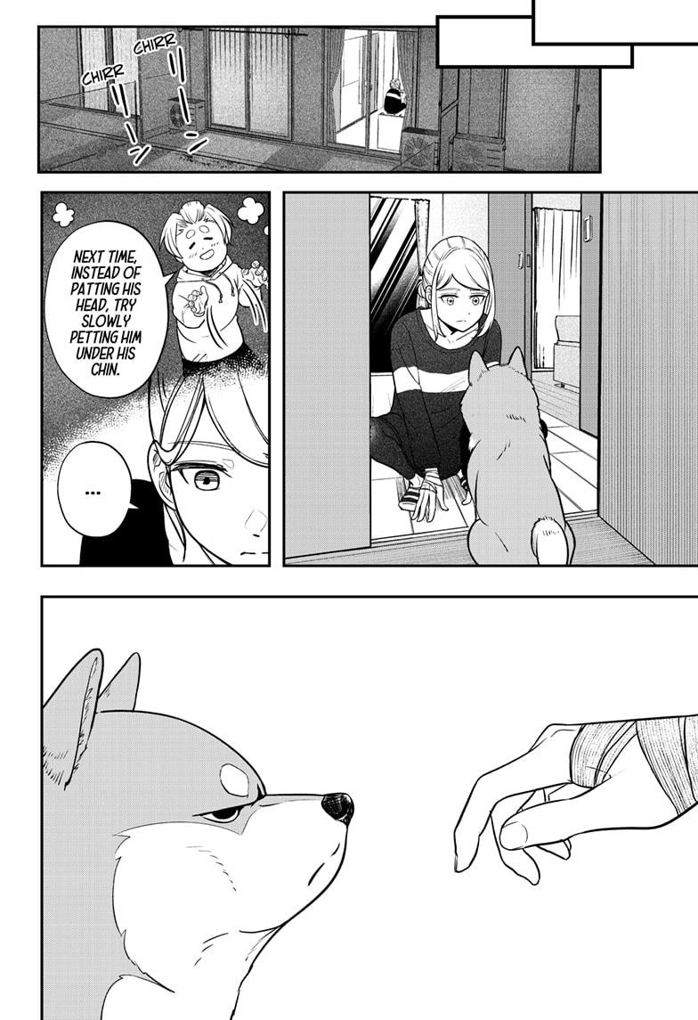 Shiba Inu Rooms Chap 1 - Next Chap 2