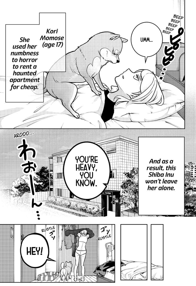 Shiba Inu Rooms Chap 1 - Next Chap 2