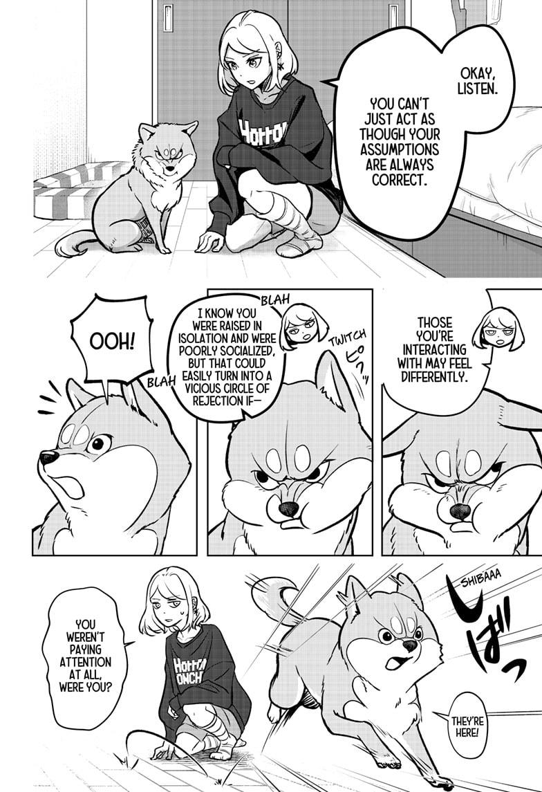 Shiba Inu Rooms Chap 1 - Next Chap 2