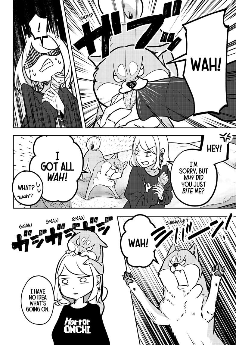 Shiba Inu Rooms Chap 1 - Next Chap 2